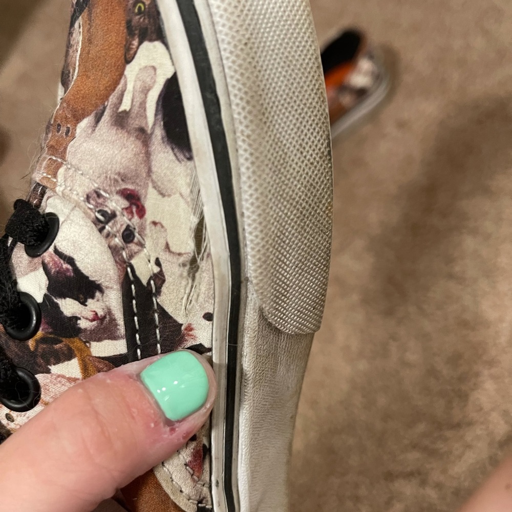 Aspca Vans - image 3